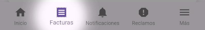 ver_facturas_app_01